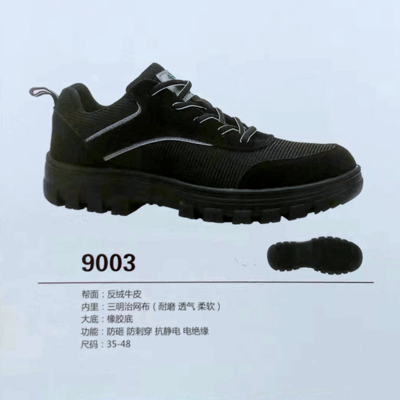 9003.jpg